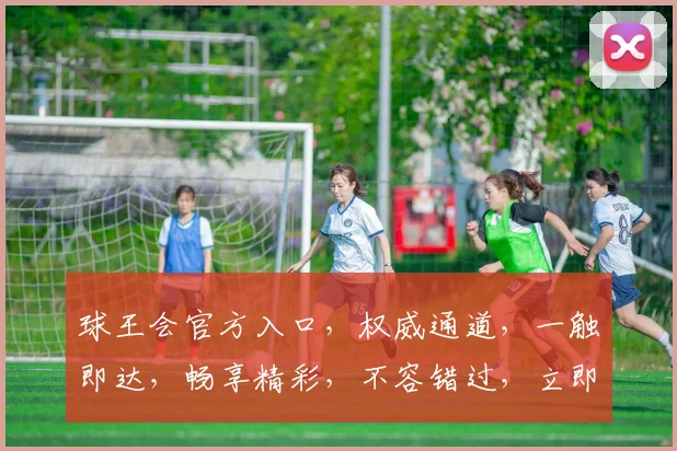 球王会官方入口，权威通道，一触即达，畅享精彩，不容错过，立即体验