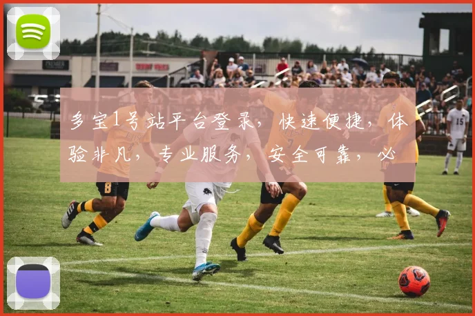 多宝1号站平台登录，快速便捷，体验非凡，专业服务，安全可靠，必看攻略
