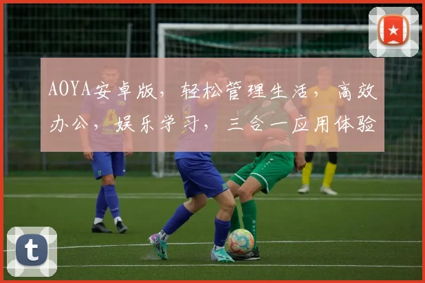 AOYA安卓版，轻松管理生活，高效办公，娱乐学习，三合一应用体验
