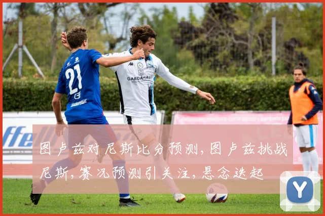 图卢兹对尼斯比分预测,图卢兹挑战尼斯,赛况预测引关注,悬念迭起