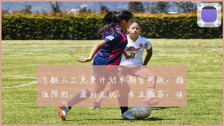 飞艇人工免费计划单期官网版，精准预测，盈利无忧，专业推荐，快速上手