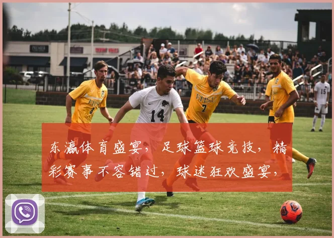 东瀛体育盛宴，足球篮球竞技，精彩赛事不容错过，球迷狂欢盛宴，激情一触即发
